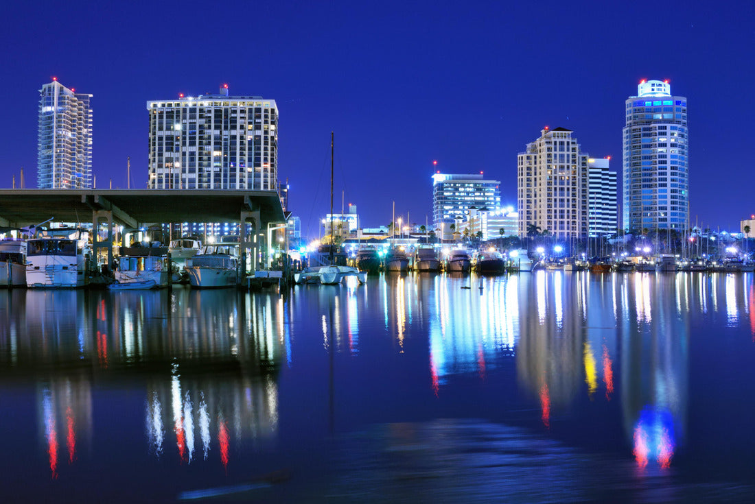 Noah Jigsaw Puzzle Skyline of St. Petersburg, Florida 2000 pieces