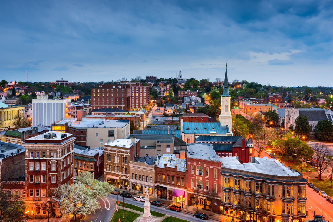 Noah Jigsaw Puzzle Macon, Georgia, USA downtown skyline 2000 pieces