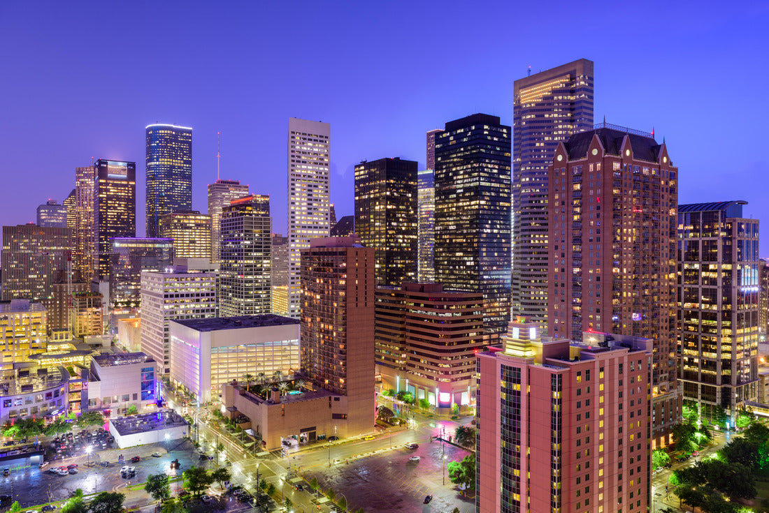 Noah Jigsaw Puzzle Houston, Texas, USA Downtown skyline 2000 pieces