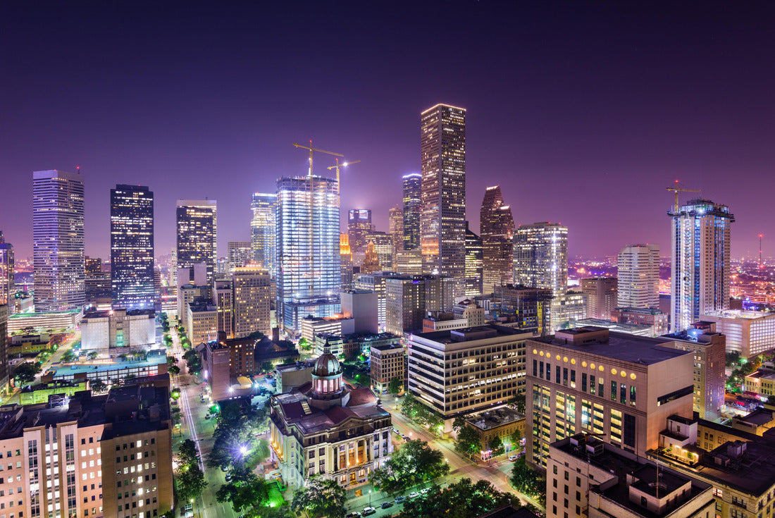 Noah Jigsaw Puzzle Houston, Texas, USA Downtown skyline 2000 pieces