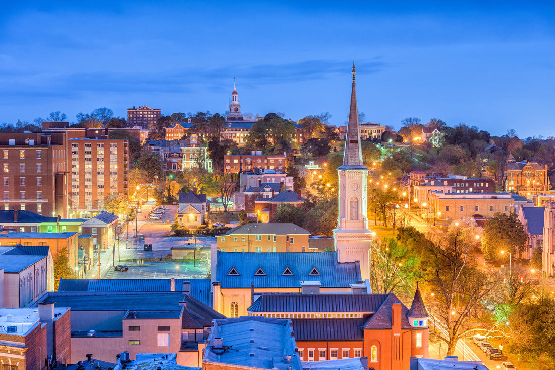 Noah Jigsaw Puzzle Macon, Georgia, USA downtown skyline 2000 pieces