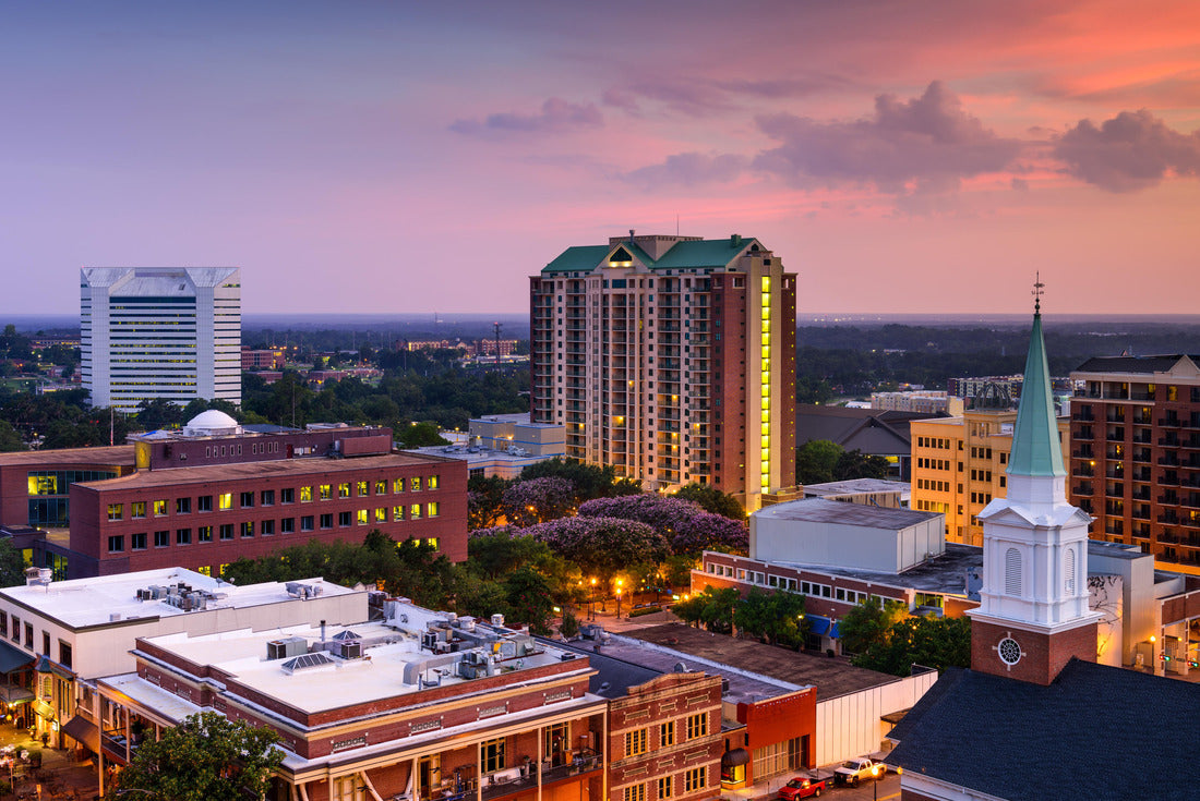 Noah Jigsaw Puzzle Tallahassee, Florida, USA downtown skyline 2000 pieces