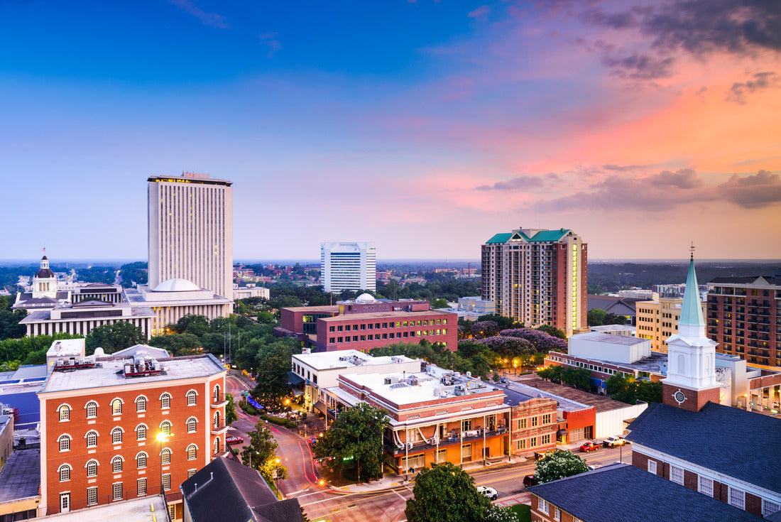Noah Jigsaw Puzzle Tallahassee, Florida, USA downtown skyline 2000 pieces