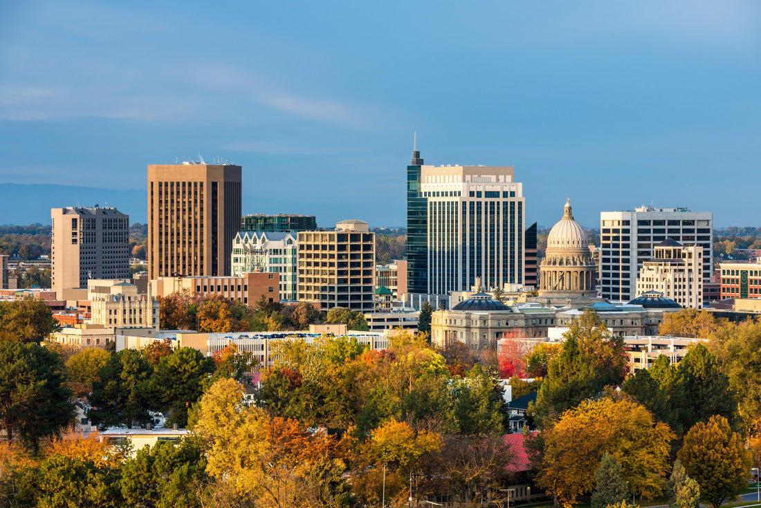 Noah Jigsaw Puzzle City of trees Boise Idaho with fall colors 2000 pieces
