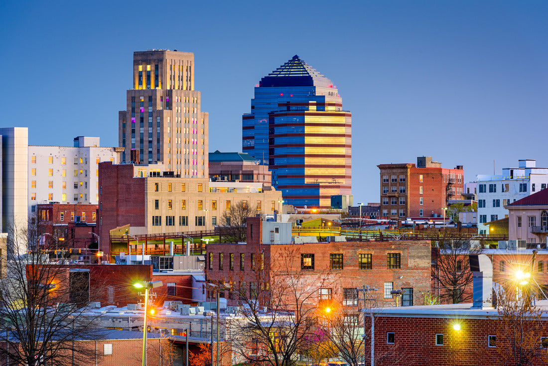 Noah Jigsaw Puzzle Durham, North Carolina, USA downtown skyline 2000 pieces