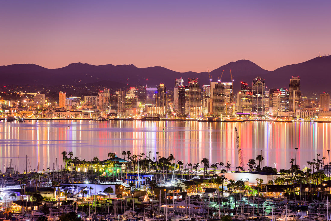 Noah Jigsaw Puzzle San Diego, California, USA Cityscape over the bay 2000 pieces