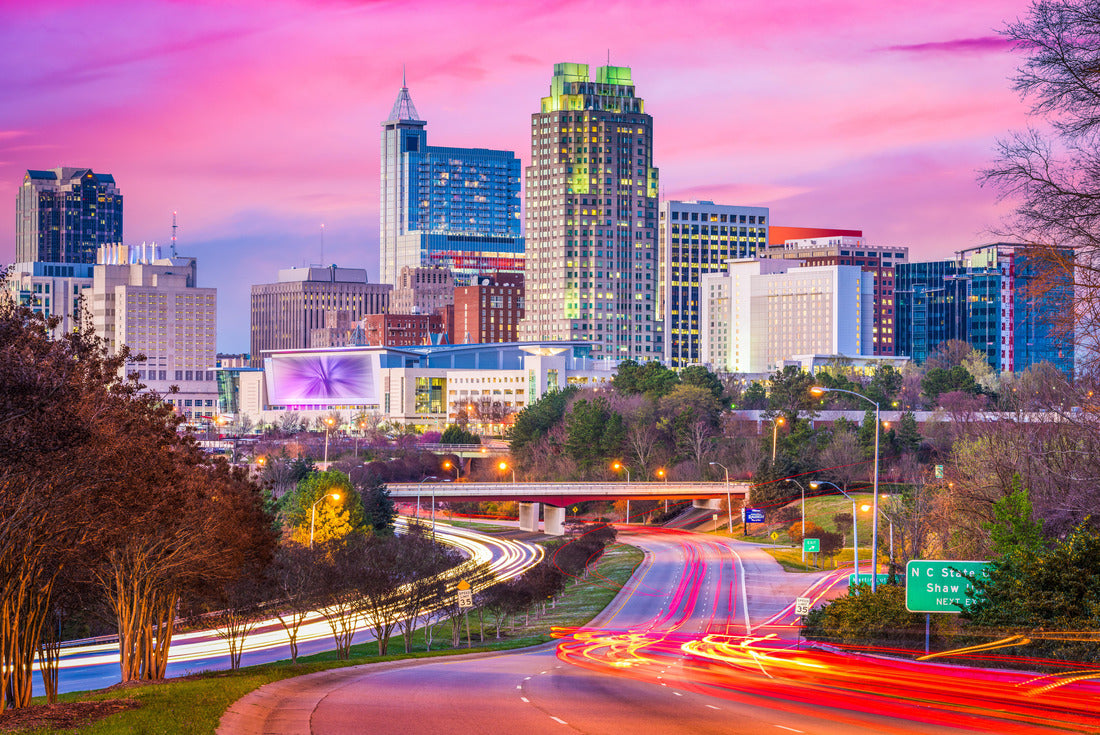 Noah Jigsaw Puzzle Raleigh, North Carolina, USA downtown city skyline 2000 pieces