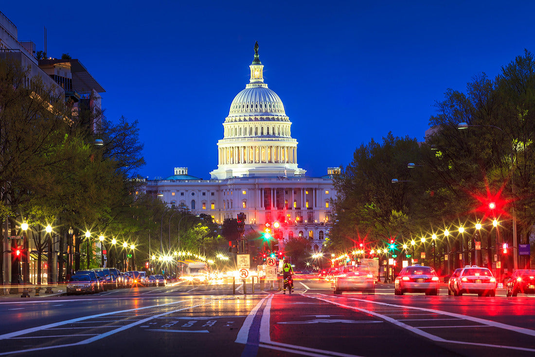 Noah Jigsaw Puzzle The United States Capitol building in Washington DC 2000 pieces