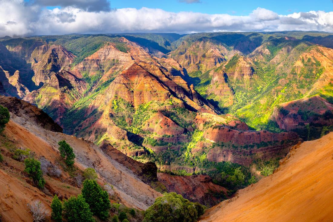 Noah Jigsaw Puzzle Panoramic view of Waimea Canyon in Kauai, Maui, USA 2000 pieces