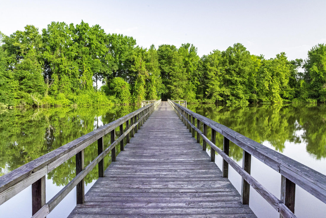 Noah Jigsaw Puzzle Foot bridge leading across an Alabama swamp, Decatur 2000 pieces