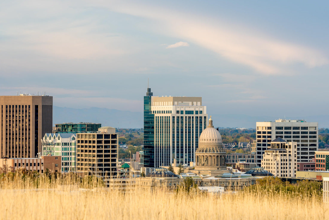 Noah Jigsaw Puzzle Boise Idaho skyline with tan colored grass foreground 2000 pieces
