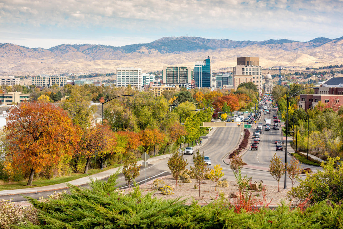 Noah Jigsaw Puzzle Boise Idaho street leading to the capital building in fall 2000 pieces