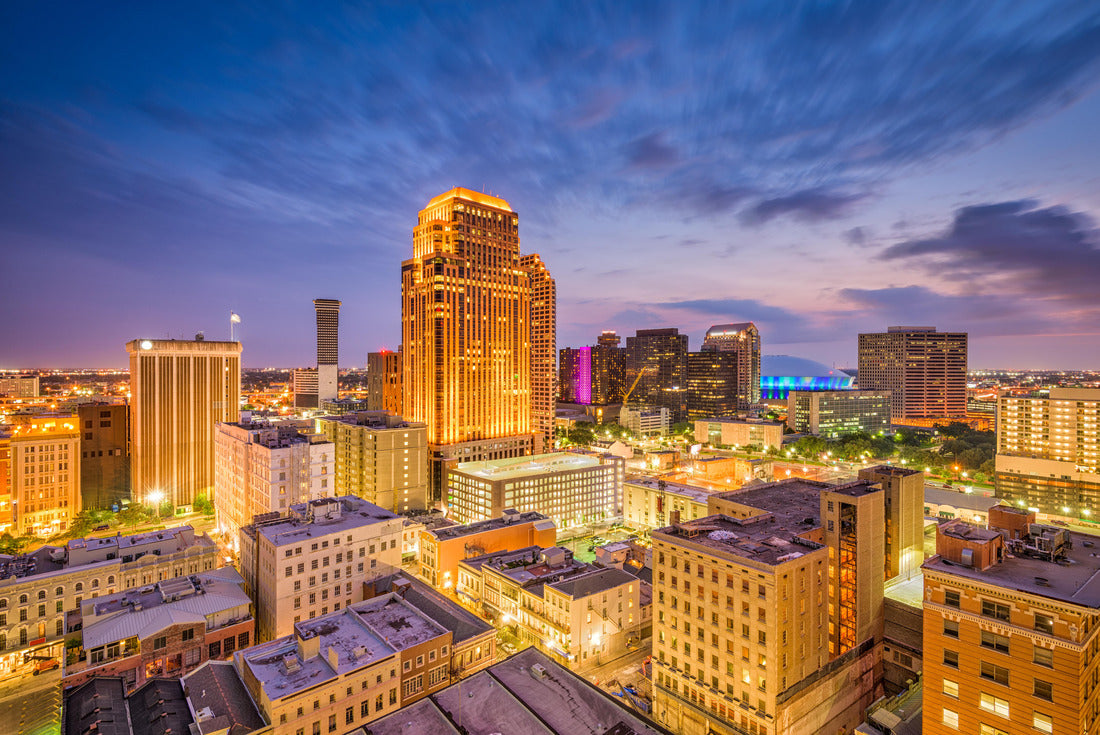 Noah Jigsaw Puzzle New Orleans, Louisiana, USA Central Business District skyline 2000 pieces
