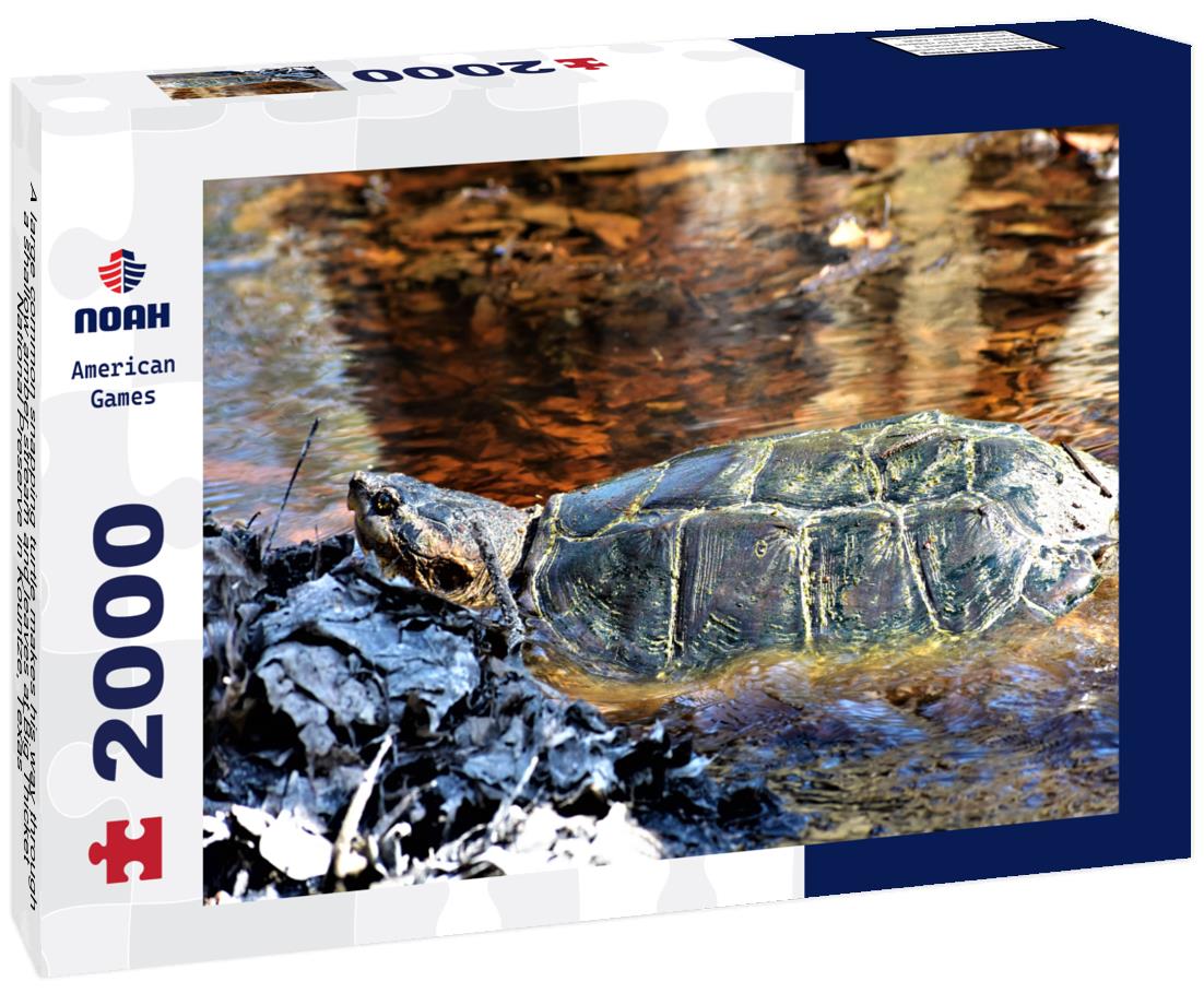 Noah Jigsaw Puzzle A large common snapping turtle makes his way through a shallow amber stream and leaves at Big Thicket National Preserve in Kountze, Texas 2000 pieces