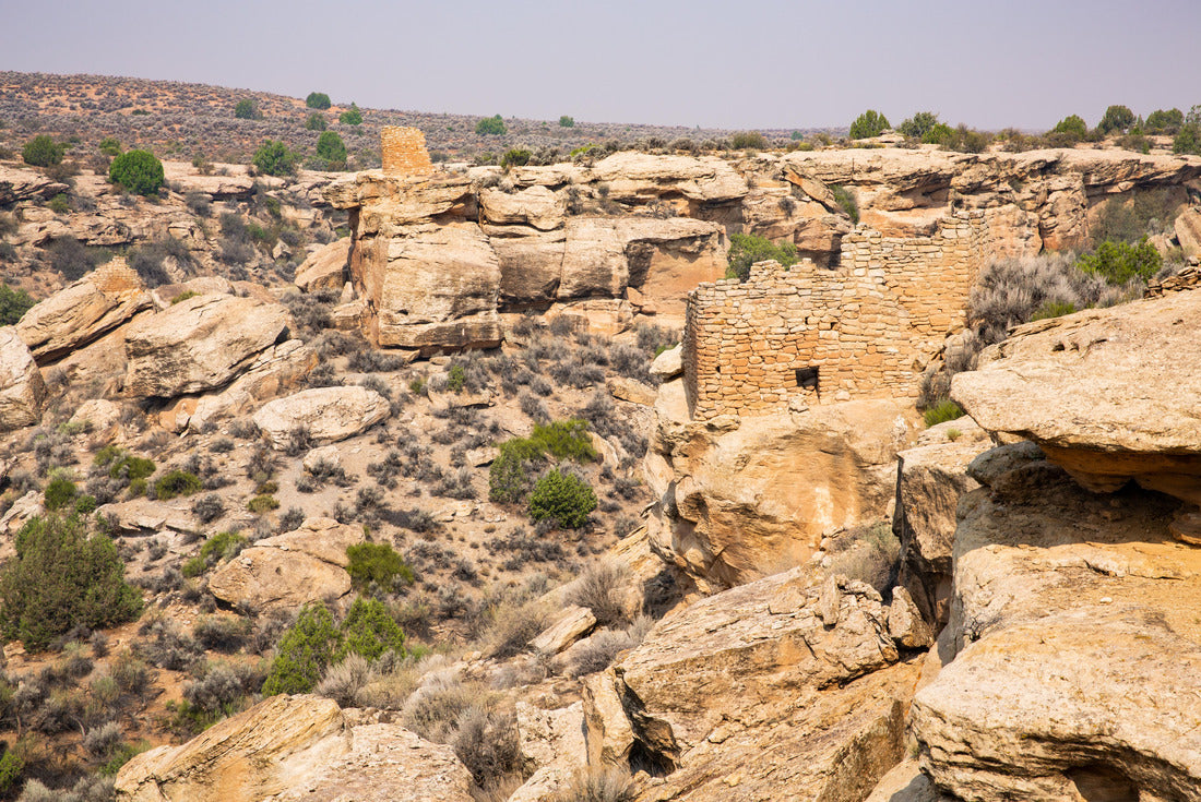 Noah Jigsaw Puzzle Alter Mühlpark, Roswell GA 2000 pieces