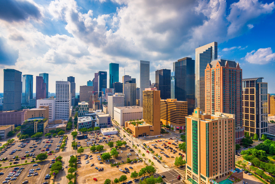 Noah Jigsaw Puzzle Houston, Texas, USA Skyline 2000 pieces
