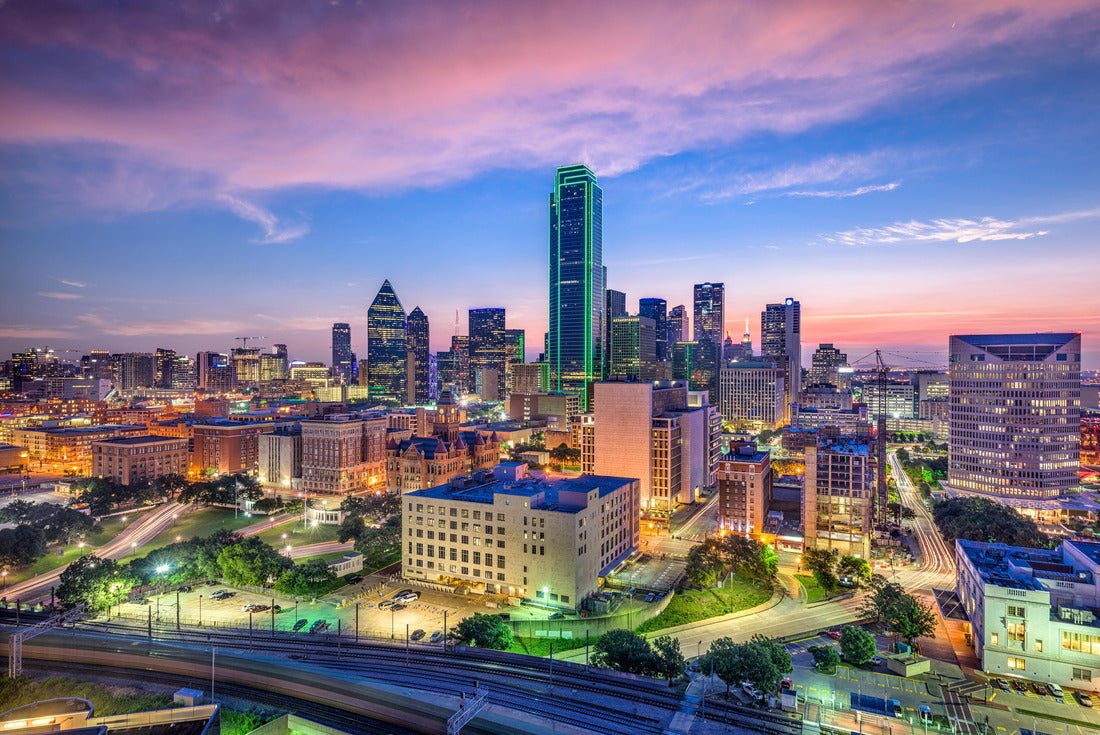 Noah Jigsaw Puzzle Dallas, Texas, USA Downtown Skyline 2000 pieces
