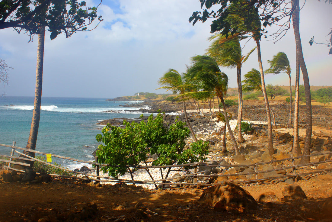 Noah Jigsaw Puzzle View of Long Beach, California, USA 2000 pieces