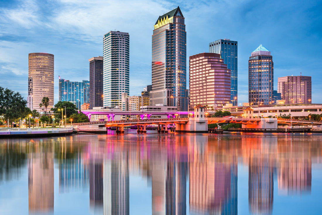 Noah Jigsaw Puzzle Tampa, Florida, USA downtown skyline 2000 pieces