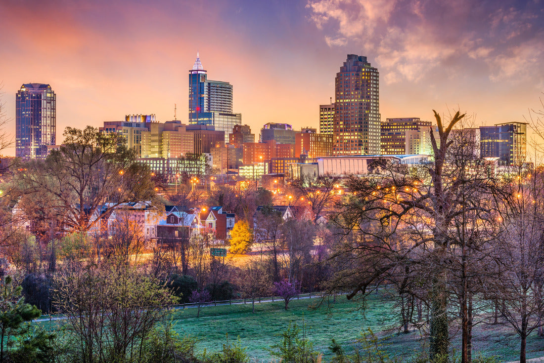 Noah Jigsaw Puzzle Raleigh, North Carolina, USA skyline 2000 pieces