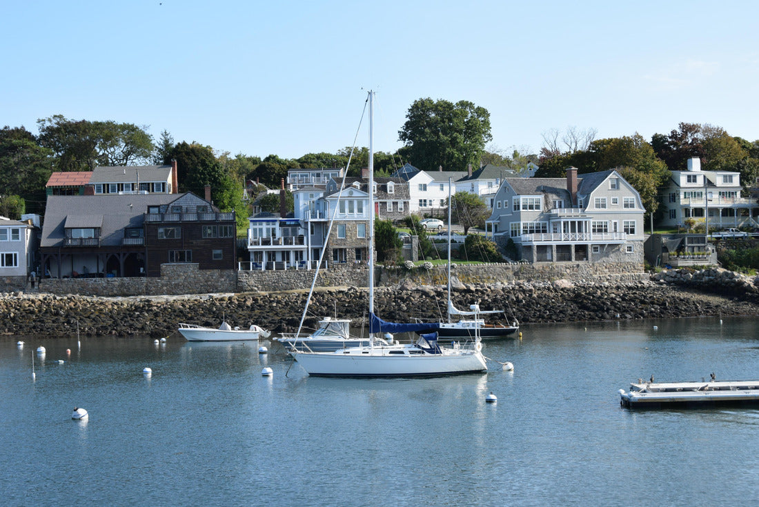 Noah Jigsaw Puzzle A beautiful creek in Trussville Alabama 2000 pieces