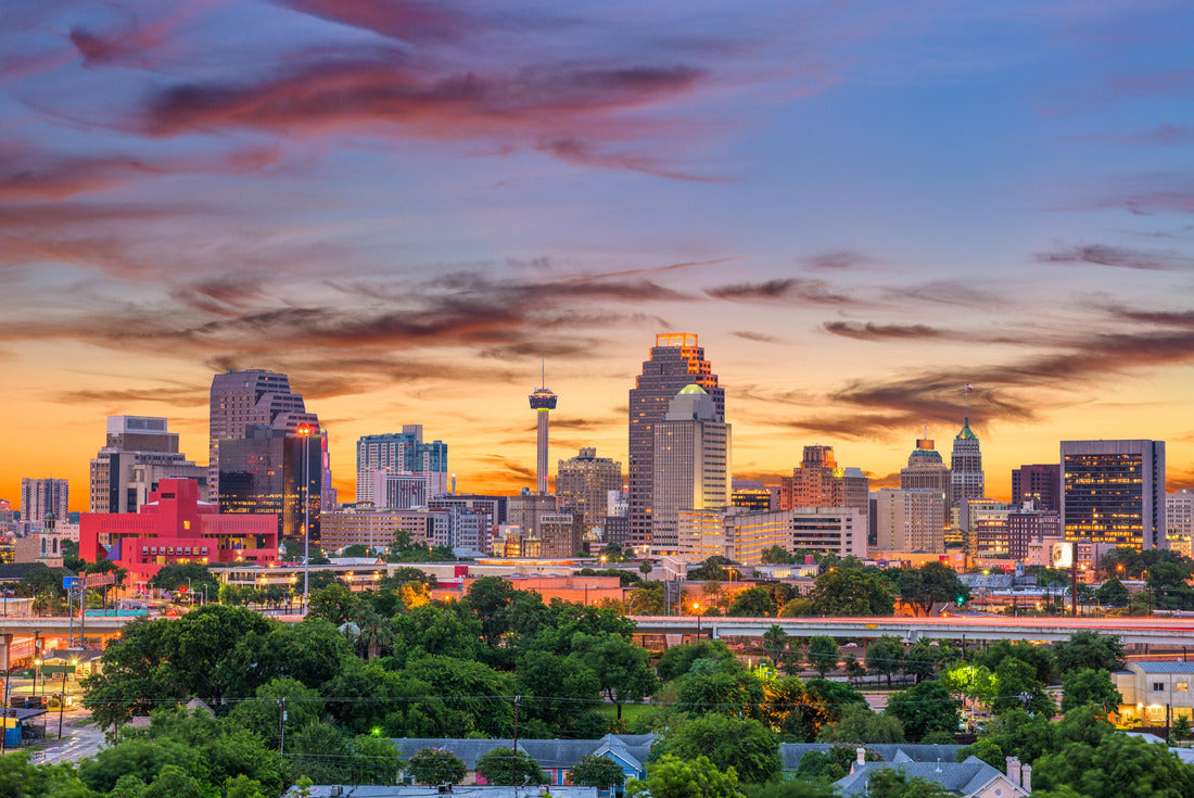 Noah Jigsaw Puzzle San Antonio, Texas, USA downtown skyline 2000 pieces