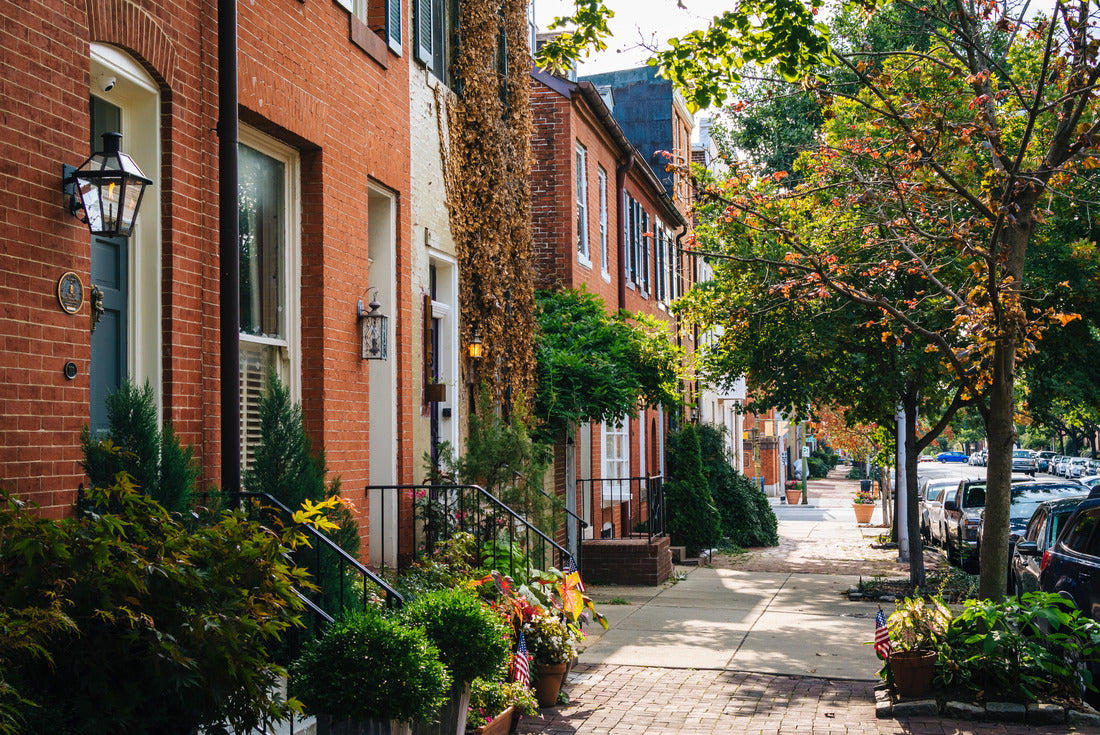 Noah Jigsaw Puzzle Row houses in Federal Hill Baltimore, Maryland 2000 pieces