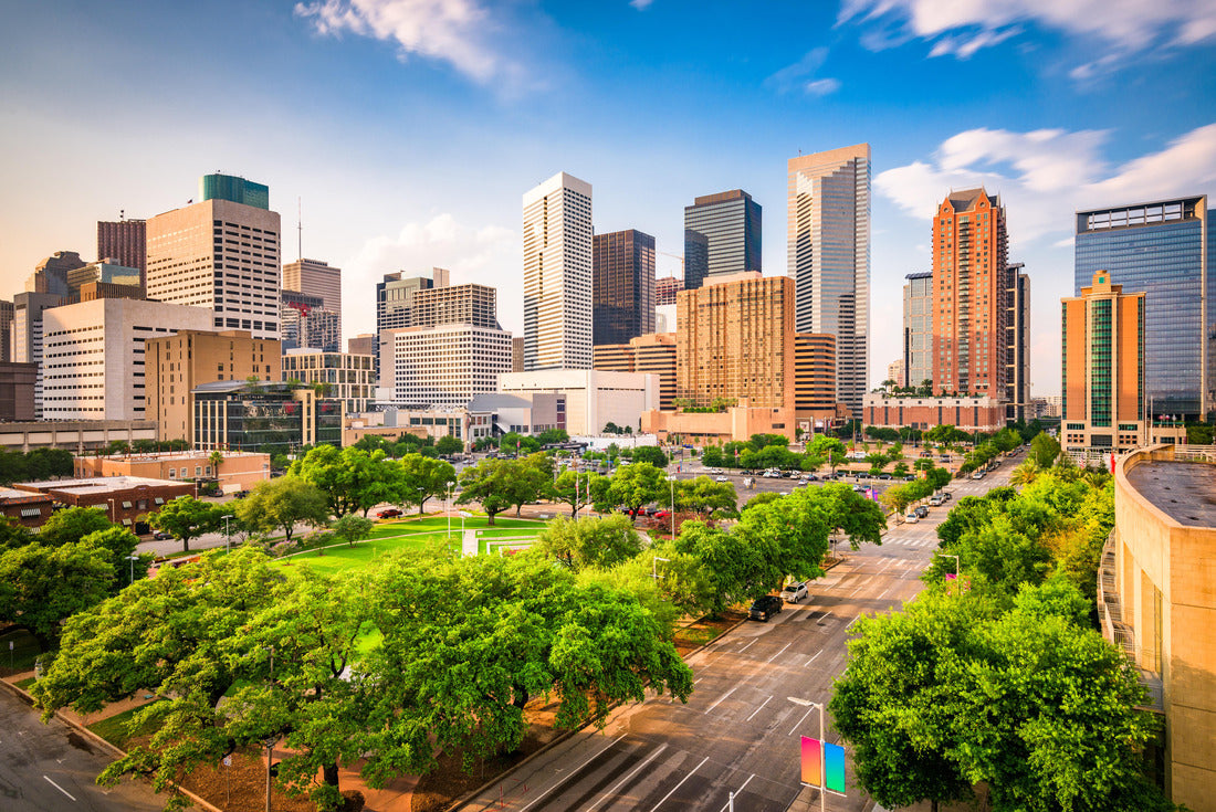 Noah Jigsaw Puzzle Houston, Texas, USA Downtown skyline over Root Square 2000 pieces