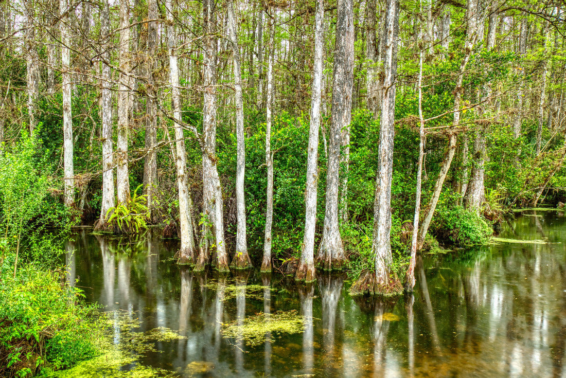 Noah Jigsaw Puzzle Panoramic View Spokane Washington Downtown City Skyline 2000 pieces
