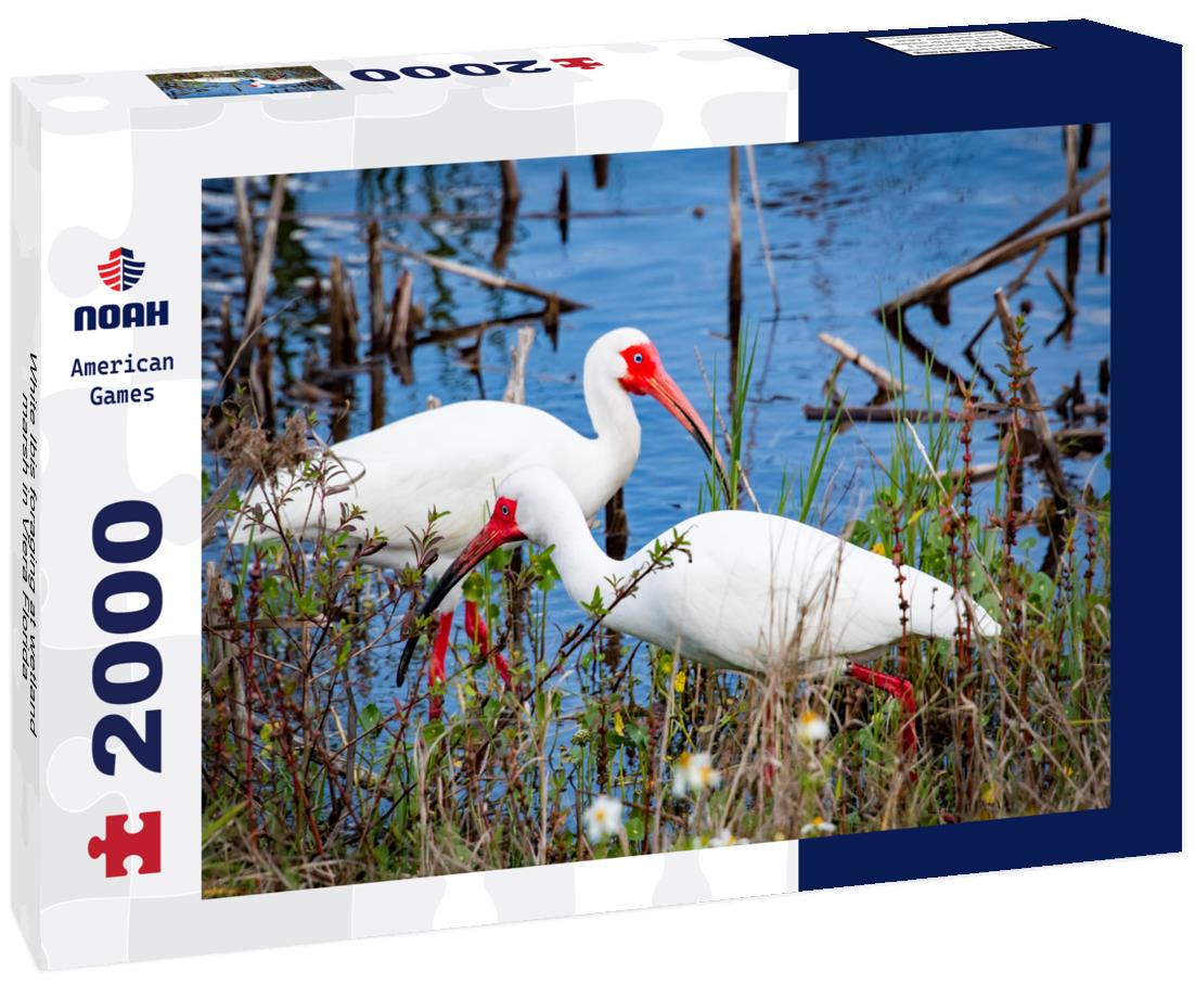 White Ibis foraging at wetland marsh in Viera Florida 2000pc Puzzle