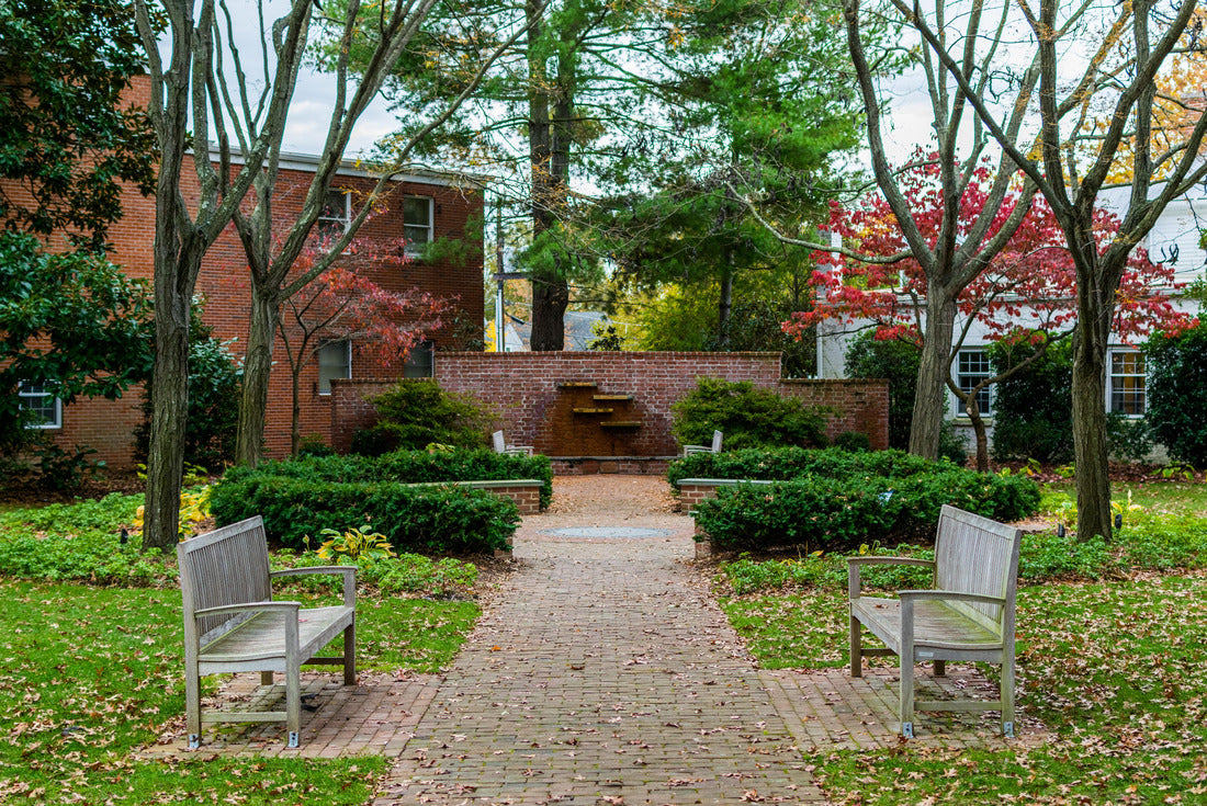 Noah Jigsaw Puzzle Downtown Easton during high Autumn Color in Maryland 2000 pieces