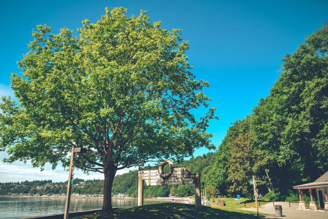 Noah Jigsaw Puzzle The water's edge in the state of Washington, America 2000 pieces