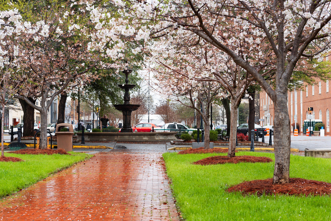 Noah Jigsaw Puzzle Macon, Georgia, USA Downtown Square in Spring Season 2000 pieces