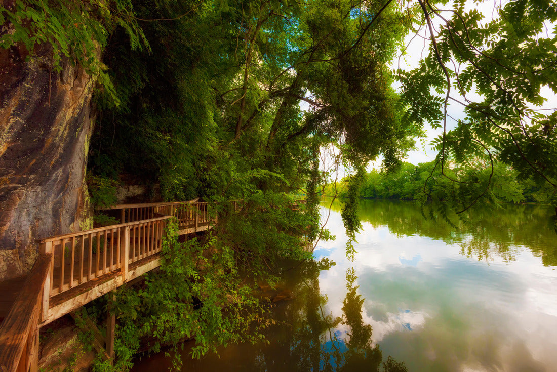 Noah Jigsaw Puzzle Ijam Nature Park Boardwalk along the Tennessee River 2000 pieces