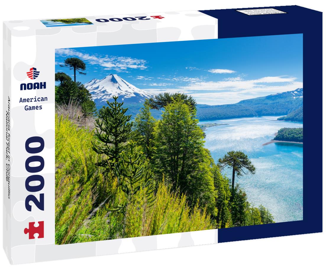 Araucaria forest in Conguillio National Park, Chile 2000pc Puzzle