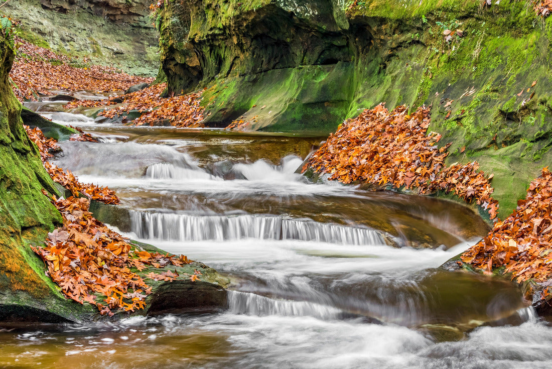 Autumn at Fall Creek Gorge Nature Preserve, Indiana 2000pc Puzzle
