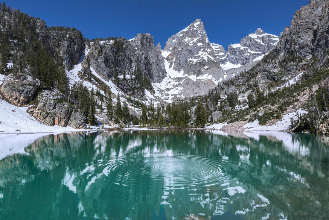 Noah Jigsaw Puzzle Delta Lake, Grand Teton National Park, Wyoming, USA 2000 pieces