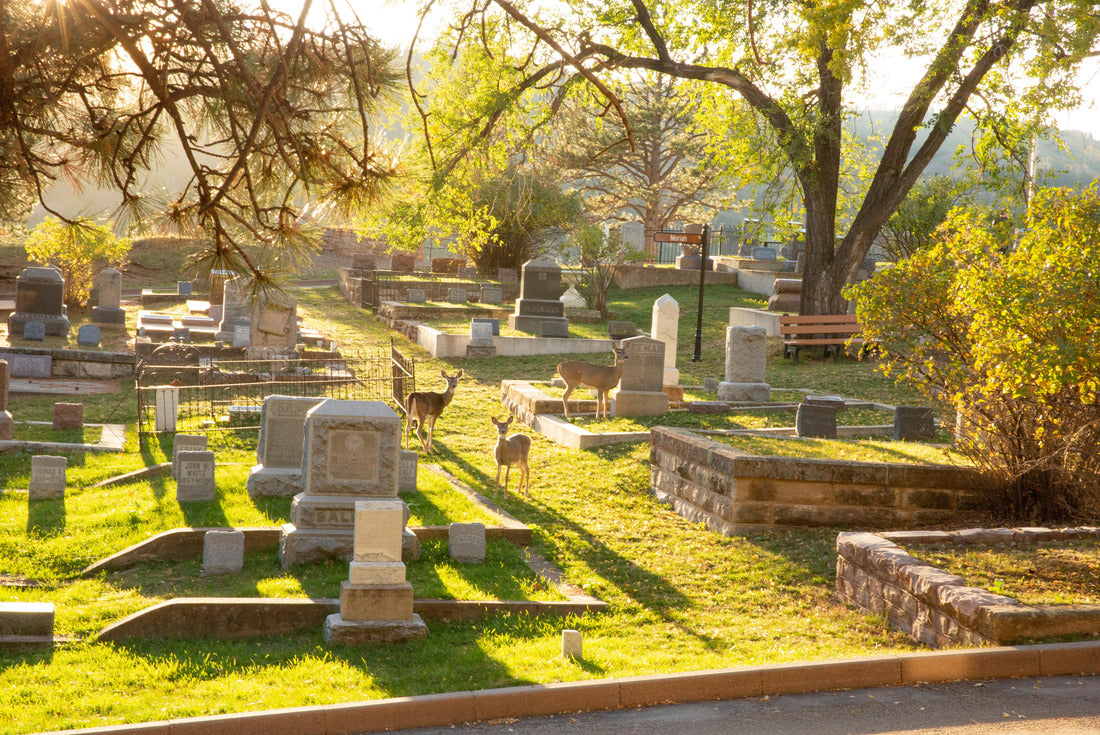 Deadwood Cemetery of South Dakota called Mt. Moriah 2000pc Puzzle