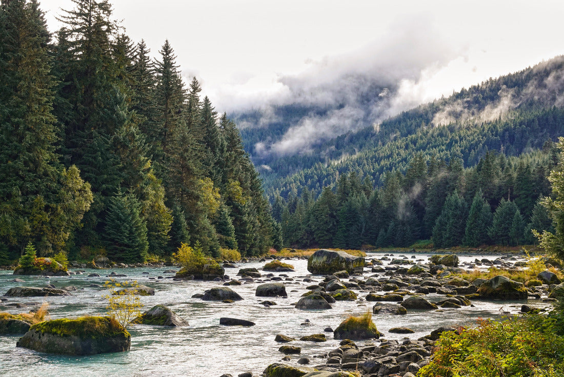 Noah Jigsaw Puzzle Haines, Chilkoot river in autumn, fall, Alaska, USA 2000 pieces