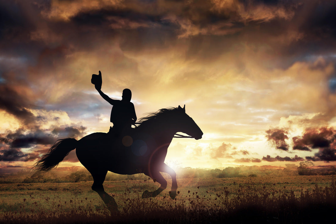 A silhouette of a cowboy and horse at sunset, Texas 2000pc Puzzle