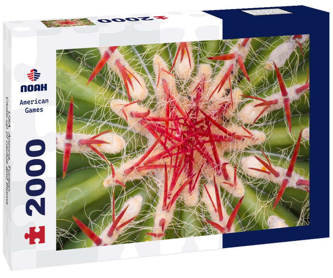 USA, Arizona, Tucson. Close-up of cactus and thorns 2000pc Puzzle