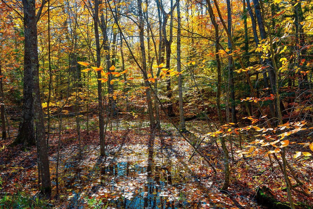 Village of Ephraim view in Door County of Wisconsin 2000pc Puzzle