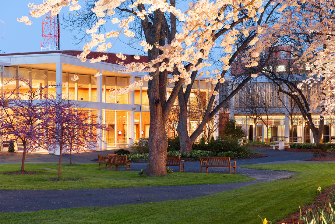 Noah Jigsaw Puzzle Campus Spring Time Landscape, University of Georgia 2000 pieces