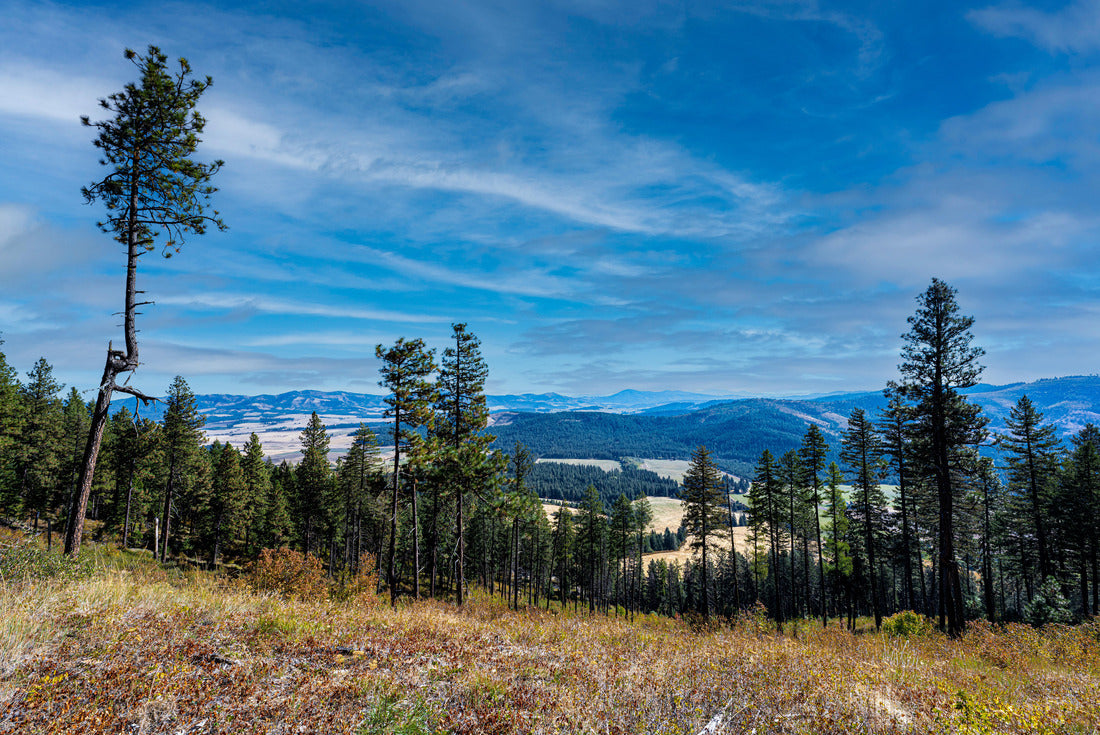 Noah Jigsaw Puzzle Mary Minerva McCroskey Memorial State Park in Idaho 2000 pieces