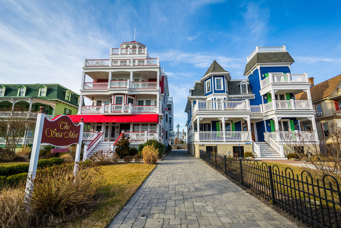 Noah Jigsaw Puzzle Houses along Beach Avenue, in Cape May, New Jersey 2000 pieces