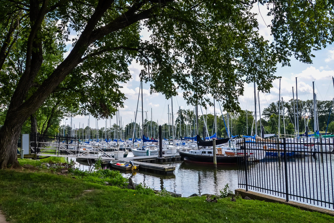 Noah Jigsaw Puzzle Potomac River in Old Town Alexandria, Virginia USA 2000 pieces