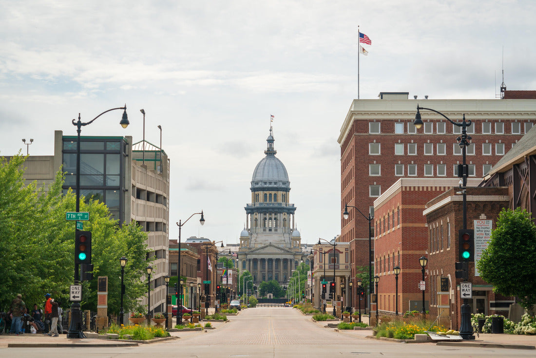 Street View of the Illinois State Capitol Building 2000pc Puzzle