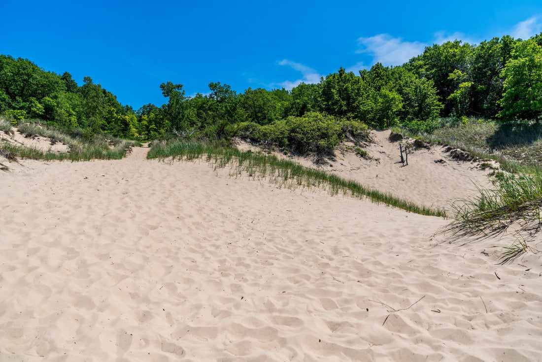 Indiana Dunes State Park near Porter, Indiana, USA 2000pc Puzzle