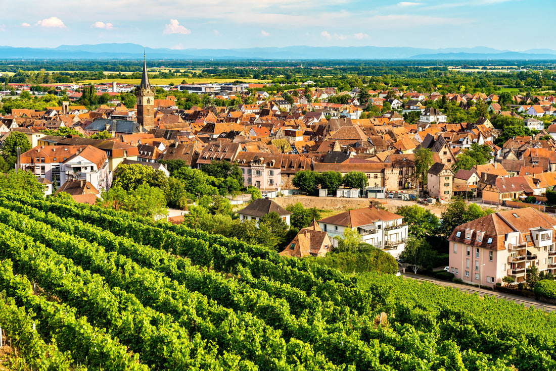 Town of Obernai with vineyards in Bas-Rhin, France 2000pc Puzzle