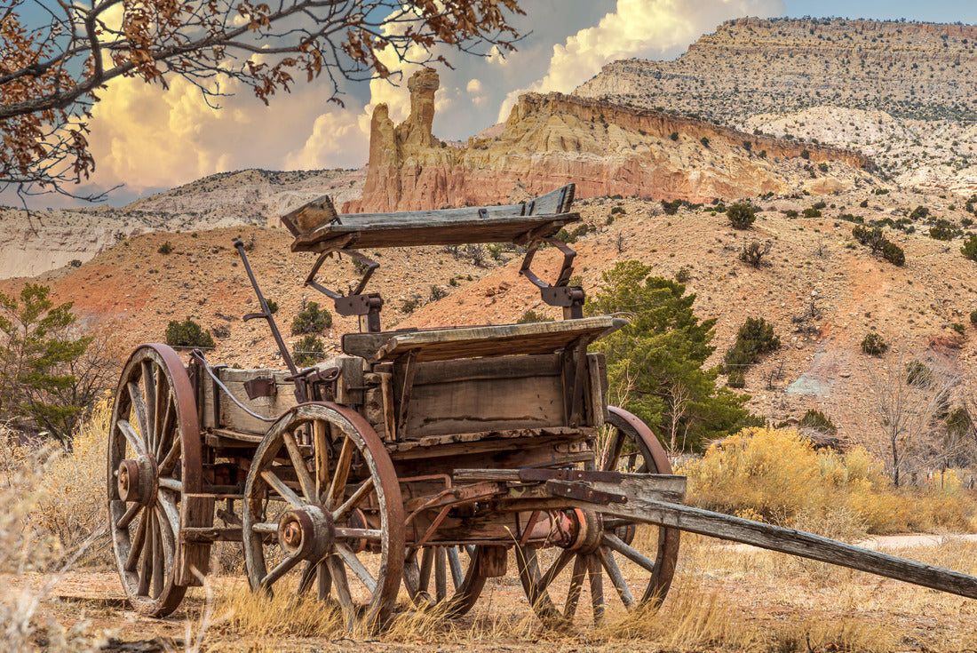 Noah Jigsaw Puzzle Old Freight Wagon Near Chimney Rock New Mexico USA 2000 pieces